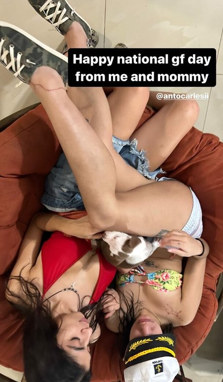 Antocarlesii star adult images