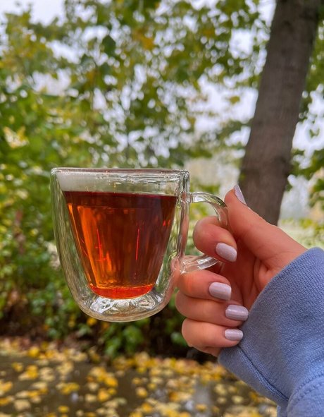 tawneyseren star beautiful img