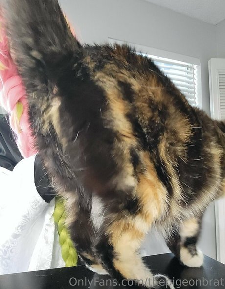 thepigeonbrat model beautiful images