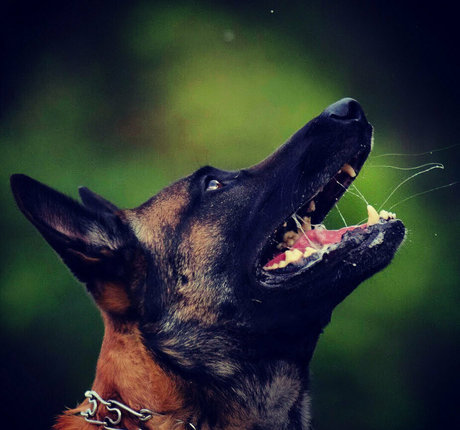 evparrishsouthernmil exclusive model image