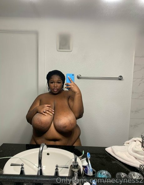 necyness2 high quality model gallery