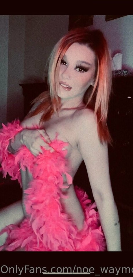 noe waymefree240399 model nude pic