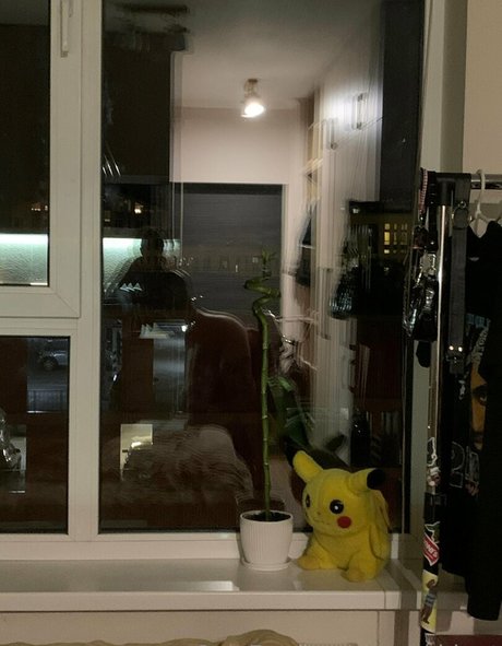 tashablunt star nice pic