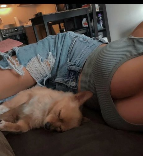 Bambixoxo22 erotic pornstar archive