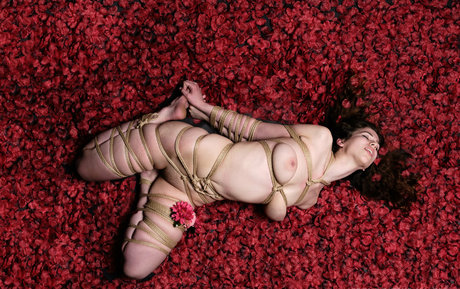 Modeladventurer beautiful star pics