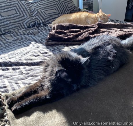 best pussy onlyfans art xxx photos