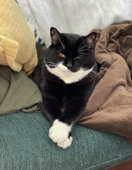 asian top onlyfans beautiful naked photo