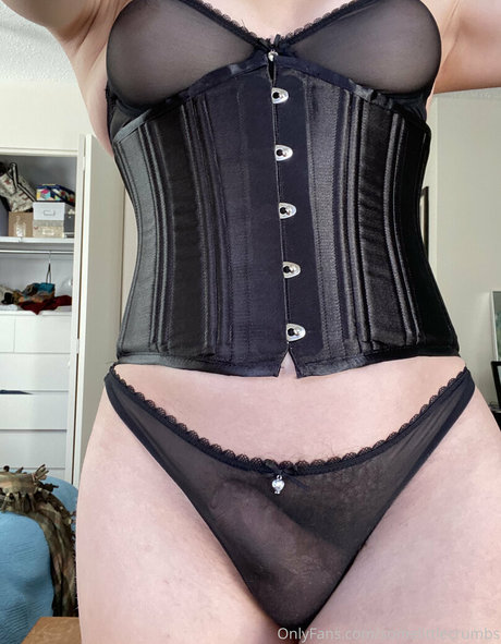 somelittlecrumbs pretty star galleries