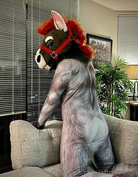 after neigh exclusive pornstar image