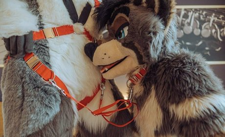 after neigh top pornstar gallery