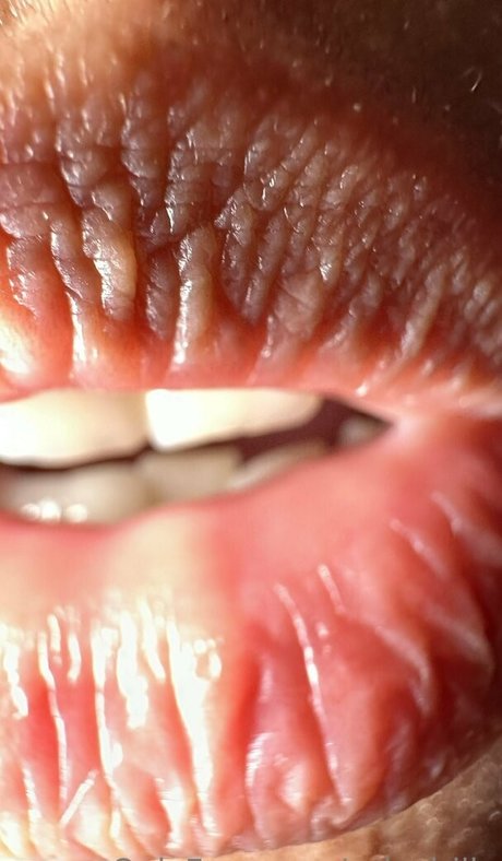 solecirilla star hot galleries