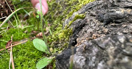 leather leggings onlyfans pornos archive