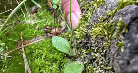 sex girls onlyfans best pics