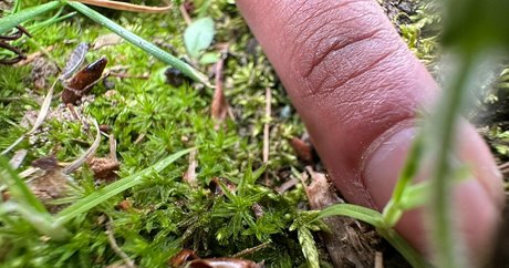 solecirilla art actress gallery