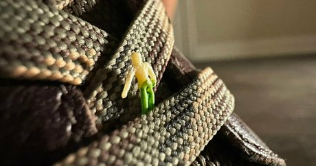 petite girls onlyfans porn photo