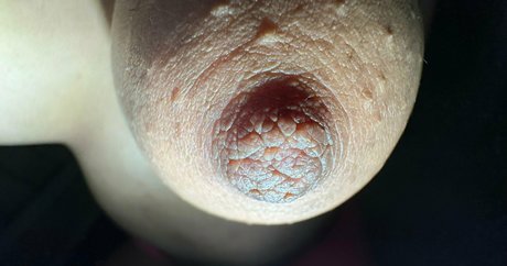 solecirilla free pornstar photos