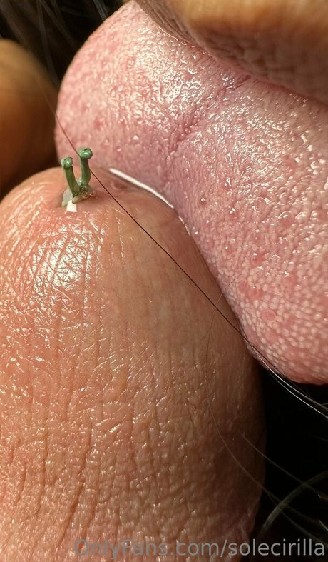 solecirilla erotic actress photo