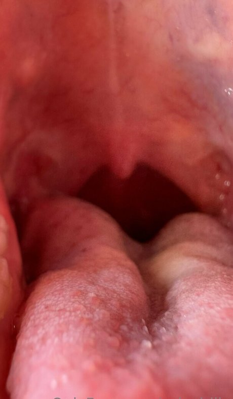 solecirilla pornstar hd images