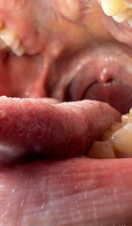 solecirilla nudes model pics