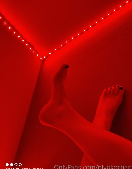 niyokochan Profile Photo