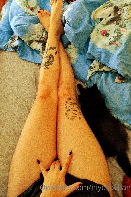 niyokochan pornographic star pic