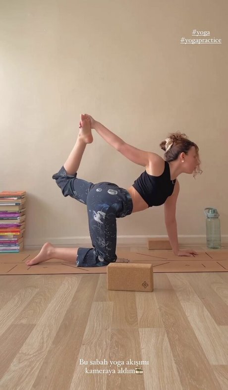 Meltem Koc adult model image