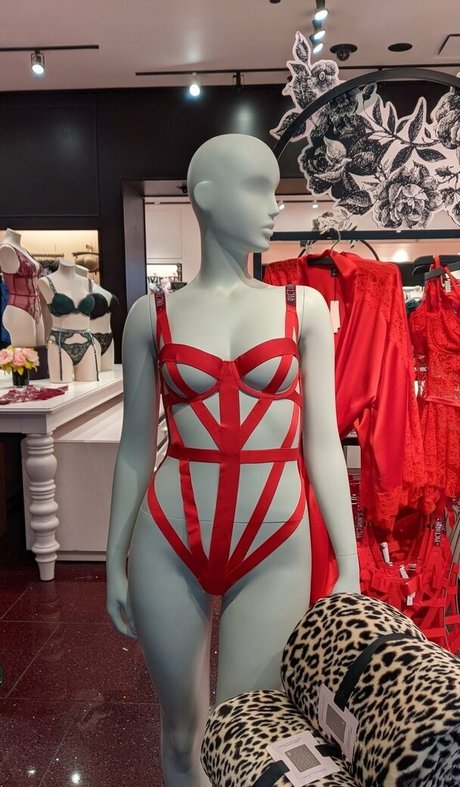 The Sarah Gracie star art pictures