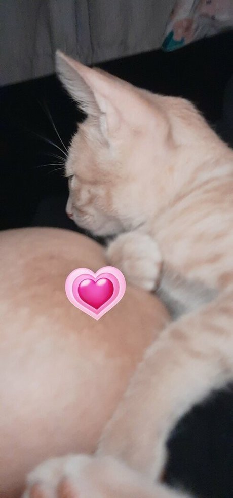 Jadeackerman nudes star images