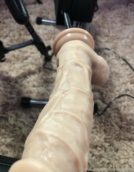 avaexotic vip exclusive pornstar pictures