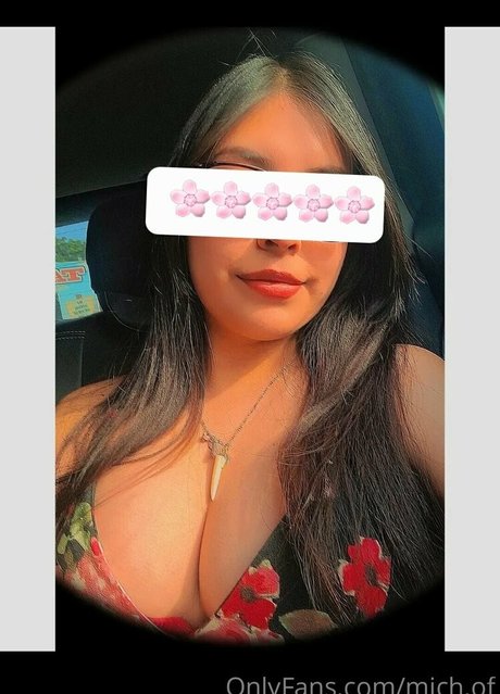 mich of model best img