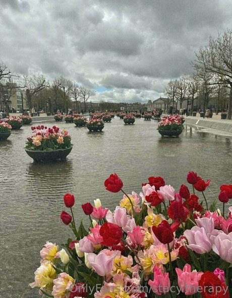 beautiful onlyfans beautiful nude images