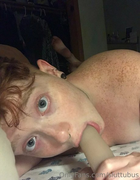 sluttubus Profile Photo