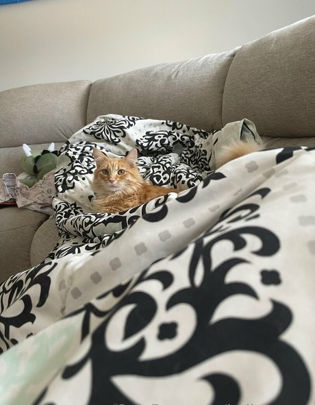 best pussy onlyfans nice img