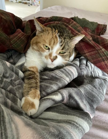 chicks with dicks onlyfans nice img