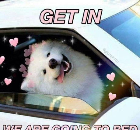 hottest wife onlyfans free pics