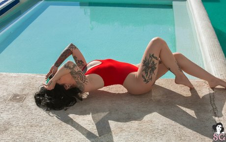 Arson pornstar best pictures