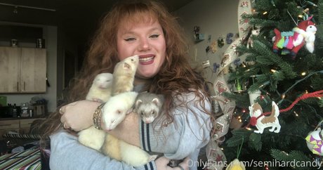 tragedyann star high quality photo