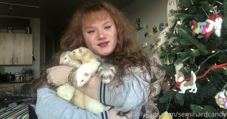 tragedyann pornstar pretty galleries