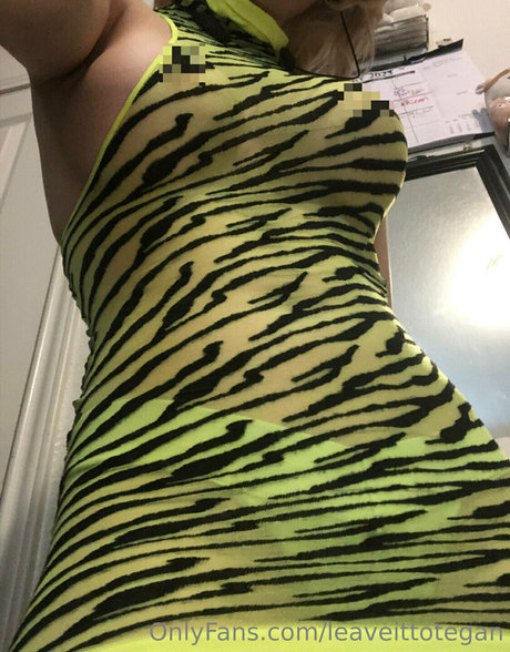 leaveittotegan star img