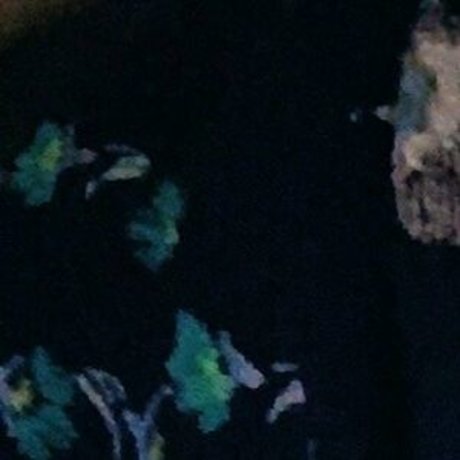 asmr xxx onlyfans pornos img