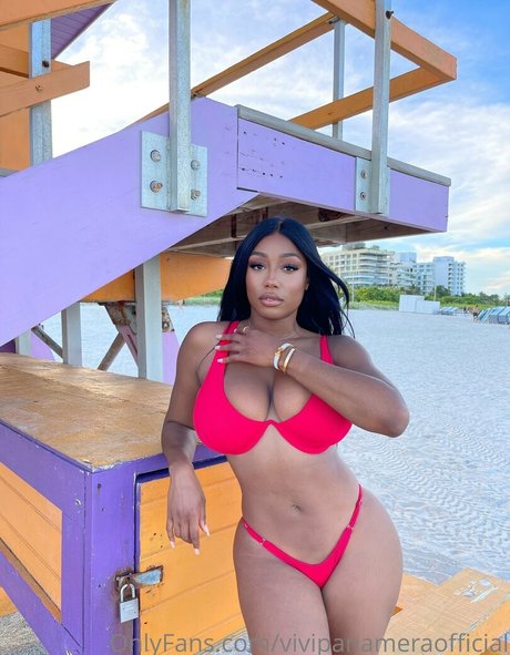 Vivi Panamera art pornstar img