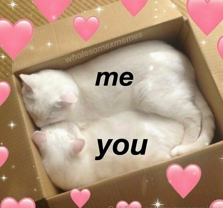 summersmithy nudes pornstar img