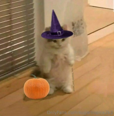 smoll n sweet 2k2 sex model photo