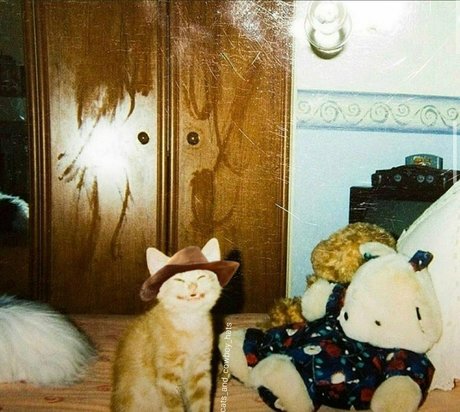 smoll n sweet 2k2 pornstar adult gallery