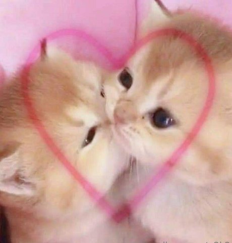 smoll n sweet 2k2 nude star photos