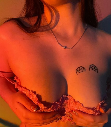 blue meow star perfect pic