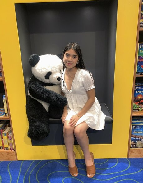 vashwty high quality star img