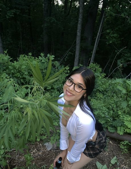 vashwty adult star images