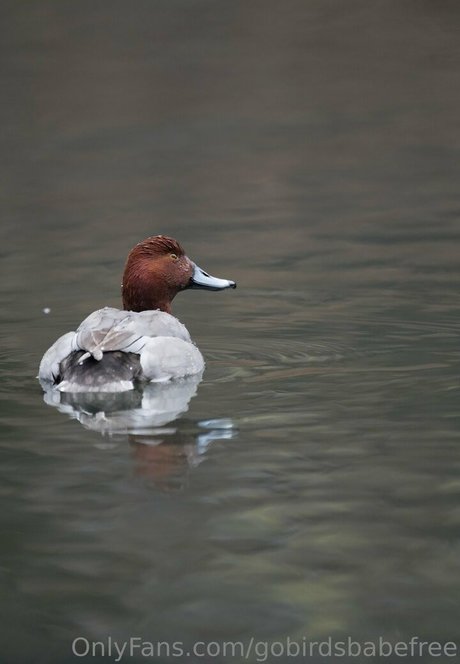 thick trans onlyfans free porn gallery