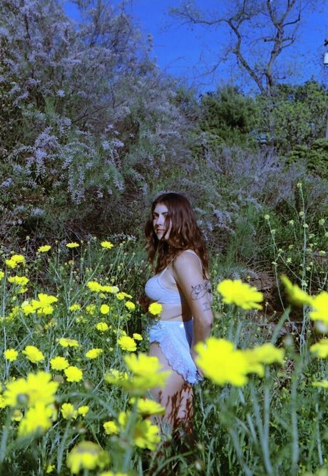 sierrakay adult star img